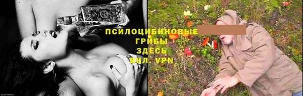 прущие крисы Горно-Алтайск