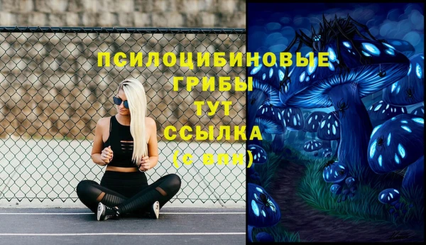 героин Горняк