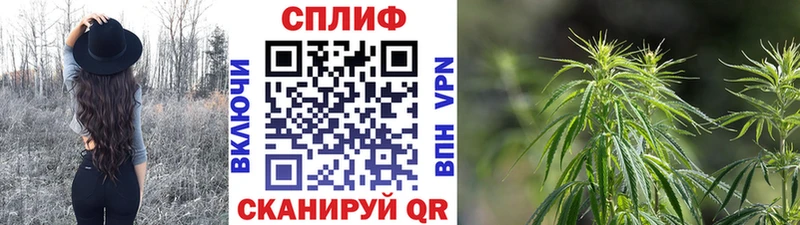 Бошки марихуана Ganja  Боровск 